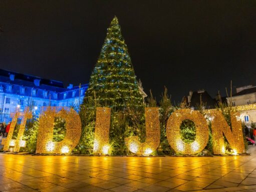 la-place-de-la-liberation-illuminee-avec-son-sapin-geant-et-son-dijon-photo-archives-lbp-stephane-rak-1672947781.jpg